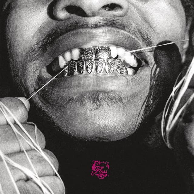Floss cover
