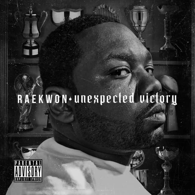 Unexpected Victory cover