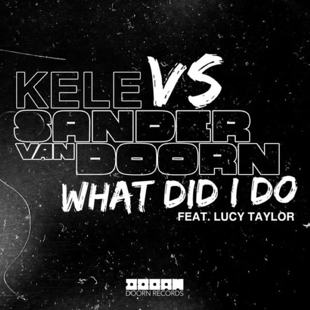 What Did I Do cover