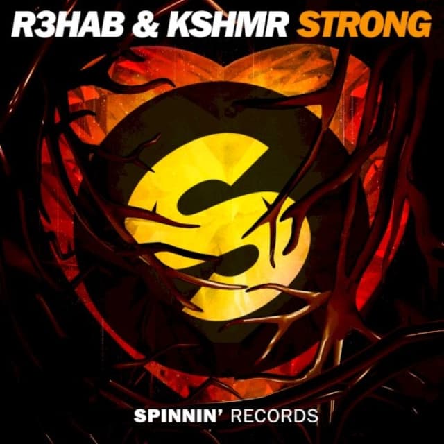 Strong cover