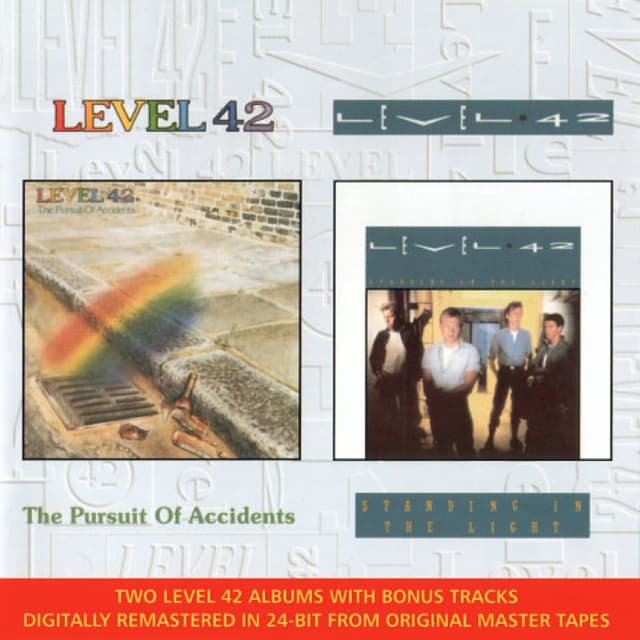 The Pursuit of Accidents / Standing in the Light cover