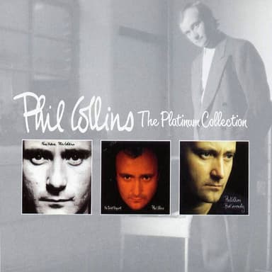 The Platinum Collection album cover