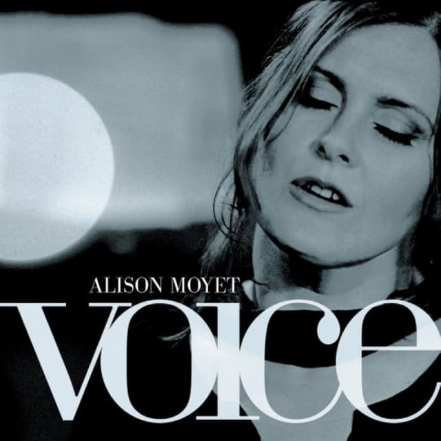 Voice cover