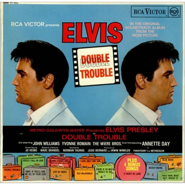 Double Trouble cover