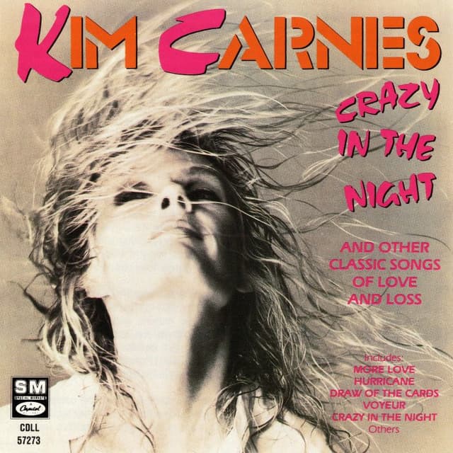 Crazy in the Night cover