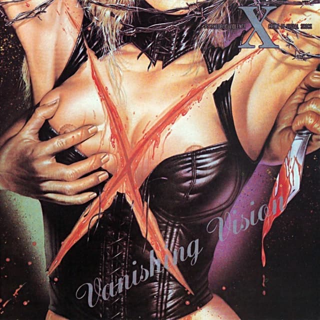 Vanishing Vision cover