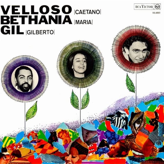 Velloso, Bethania, Gil cover