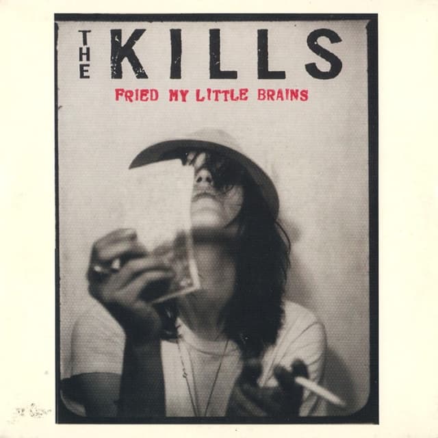 Fried My Little Brains cover