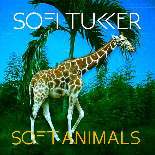 Soft Animals cover