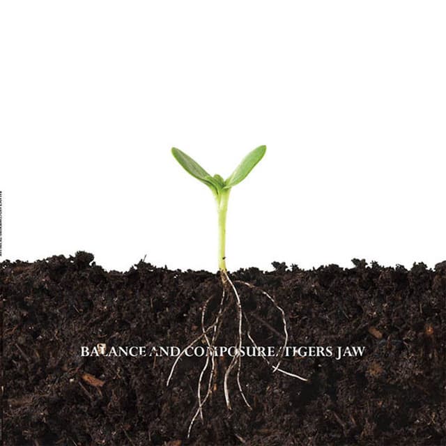 Balance and Composure / Tigers Jaw cover