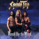 Break Like the Wind cover