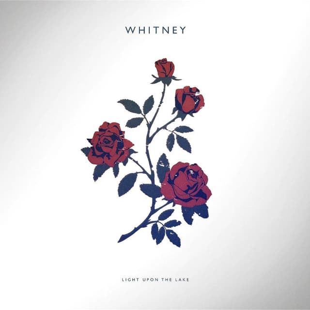 Light Upon The Lake album cover