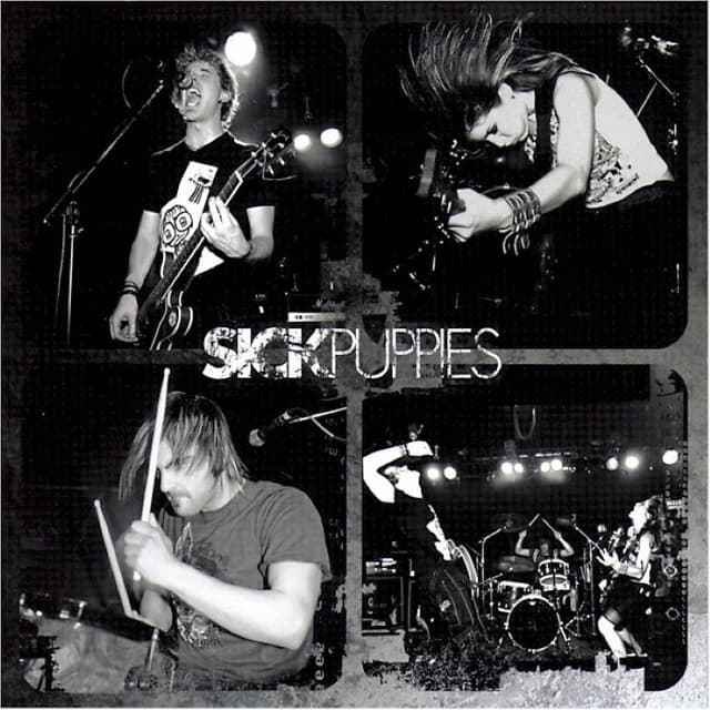 Sick Puppies cover