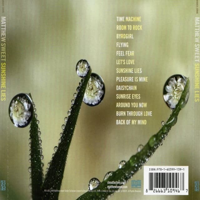 Sunshine Lies cover