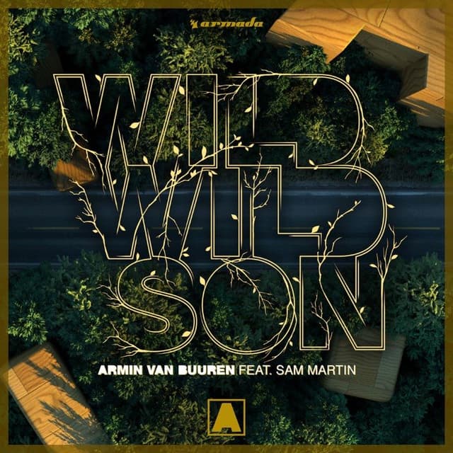 Wild Wild Son album cover