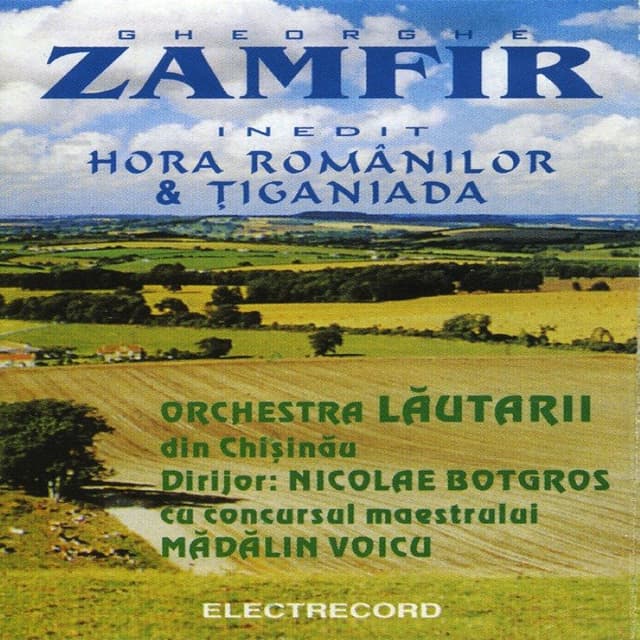 Hora românilor & țiganiada cover