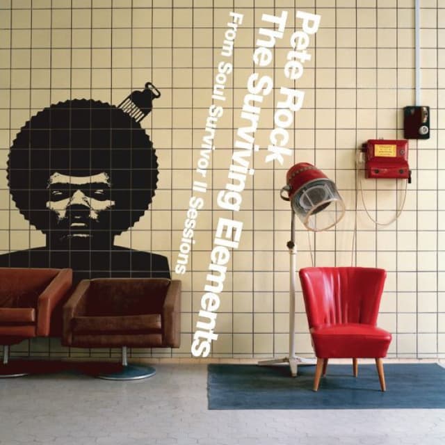 The Surviving Elements: From Soul Survivor II Sessions cover