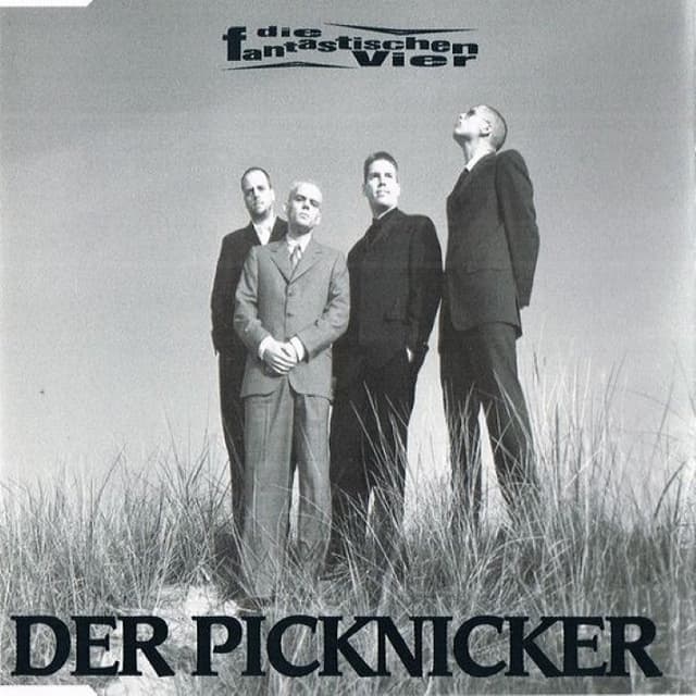 Der Picknicker cover