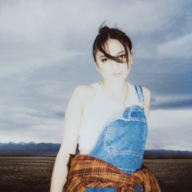 Montana cover