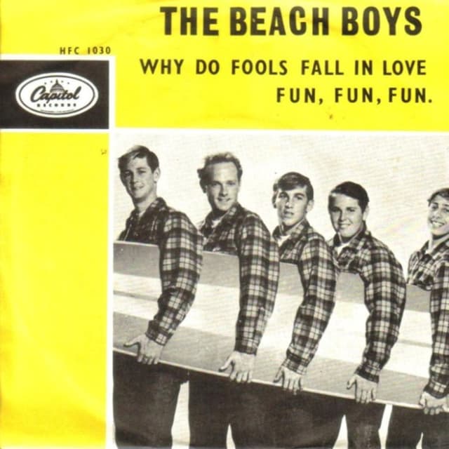 Fun, Fun, Fun cover