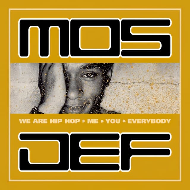 We Are Hip Hop. Me. You. Everybody album cover