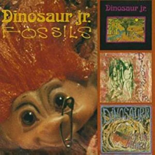 Fossils cover