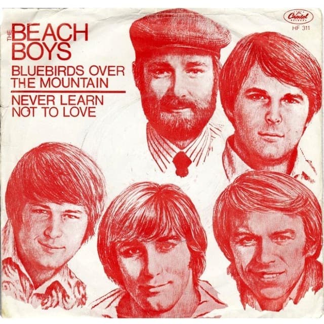 Bluebirds Over the Mountain album cover