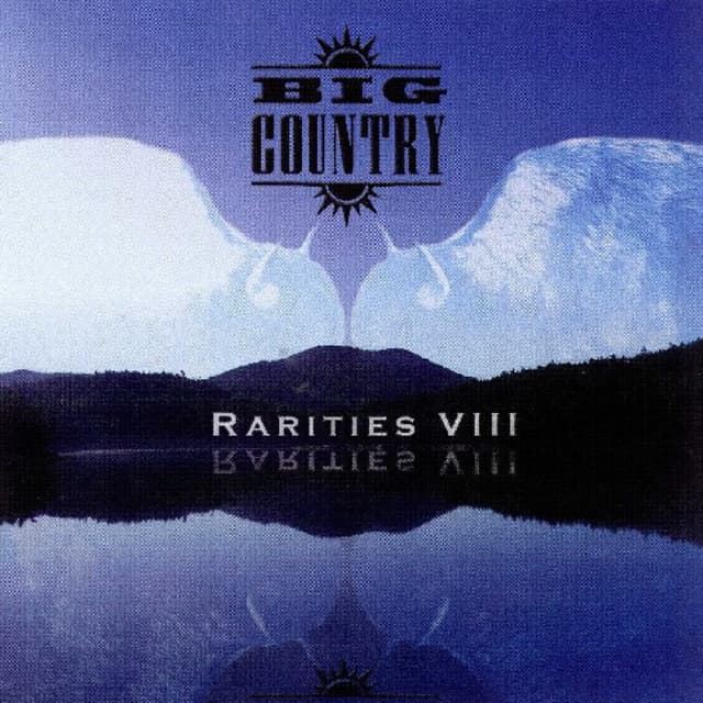 Rarities VIII cover
