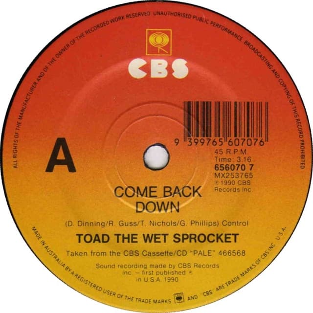 Come Back Down cover