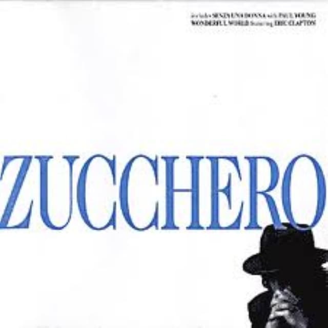 Zucchero cover