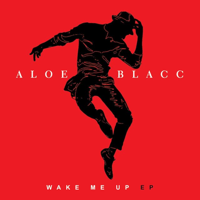 Wake Me Up cover