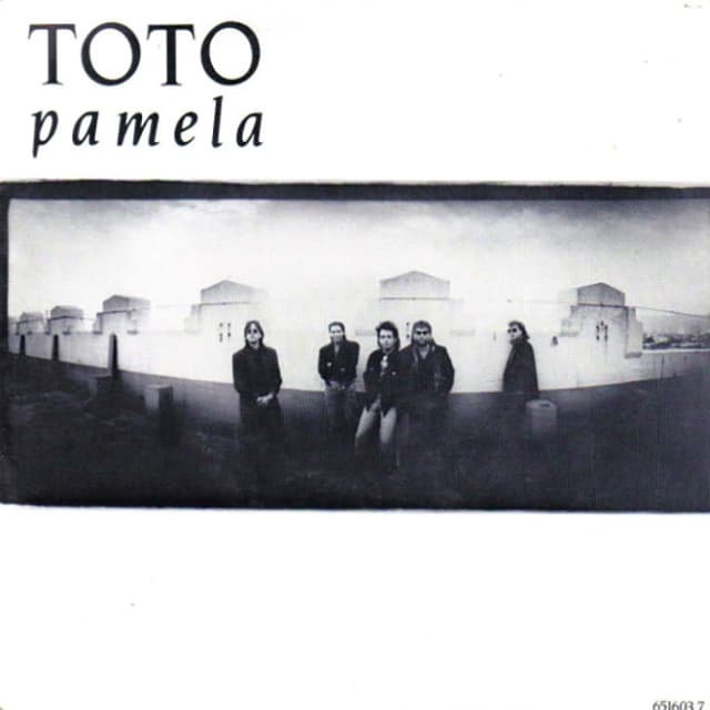 Pamela / You Got Me album cover