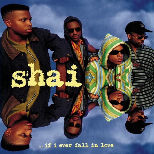 If I Ever Fall in Love cover