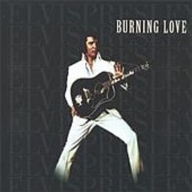 Burning Love cover