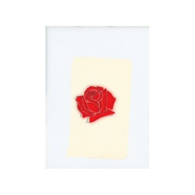 LANY cover