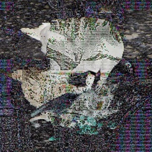 Death Grips cover