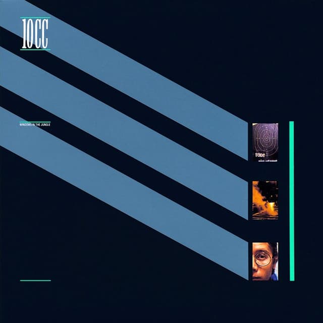 Windows in the Jungle cover