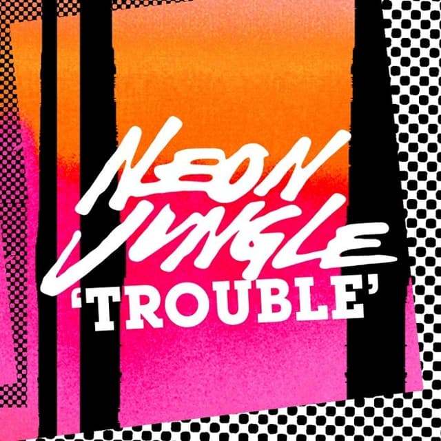 Trouble cover