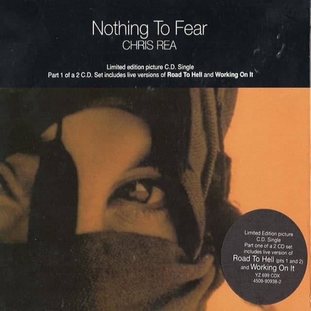 Nothing to Fear cover