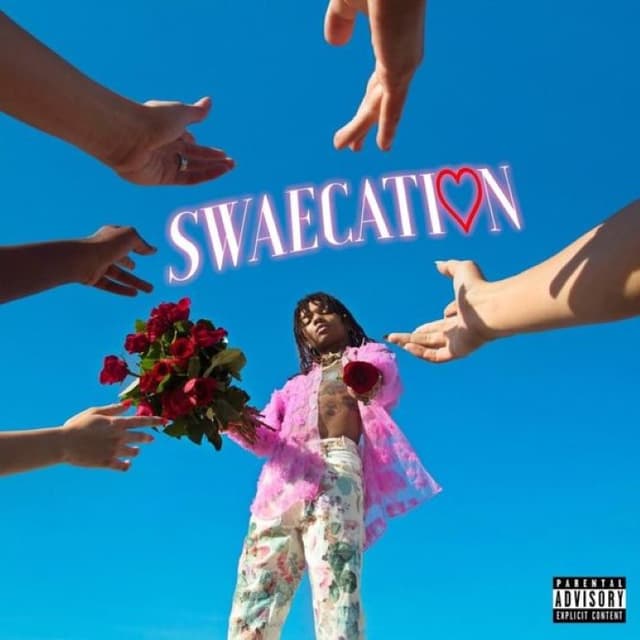 Swaecation cover
