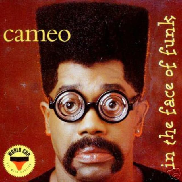 In the Face of Funk cover