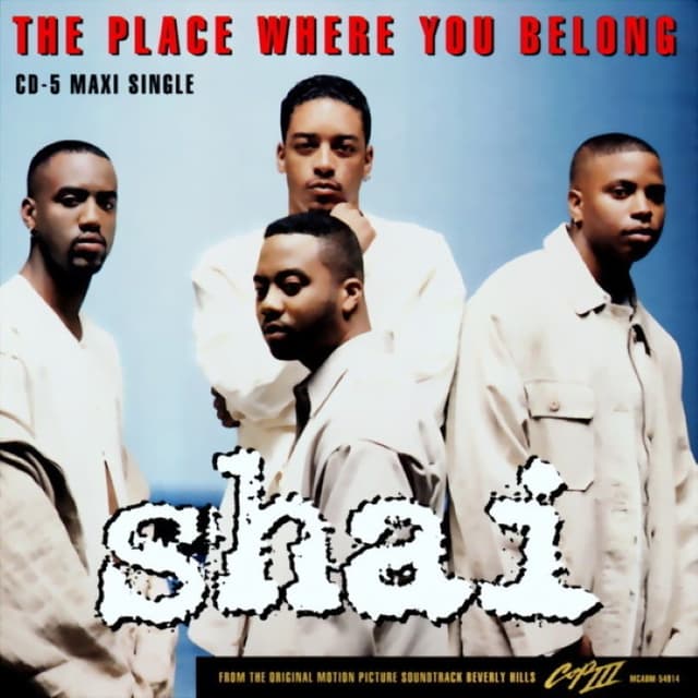 The Place Where You Belong cover