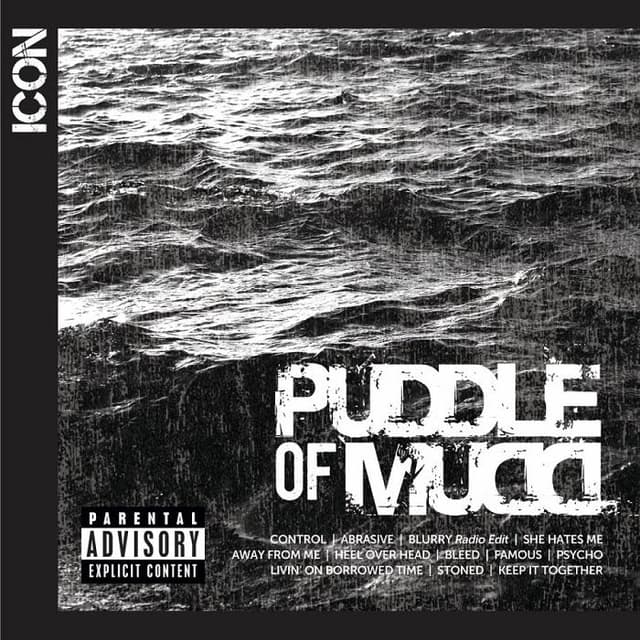 ICON cover