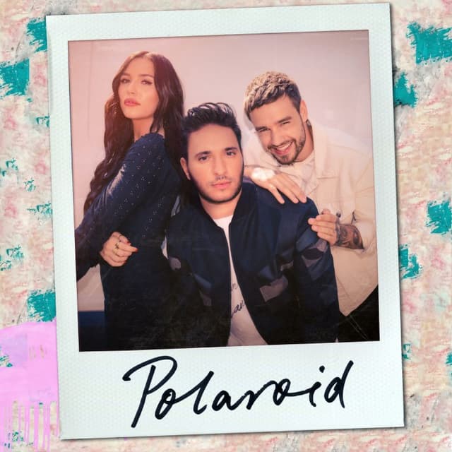 Polaroid cover