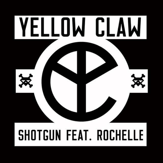 Shotgun cover