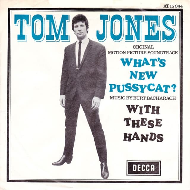 What's New Pussycat? / The Rose cover