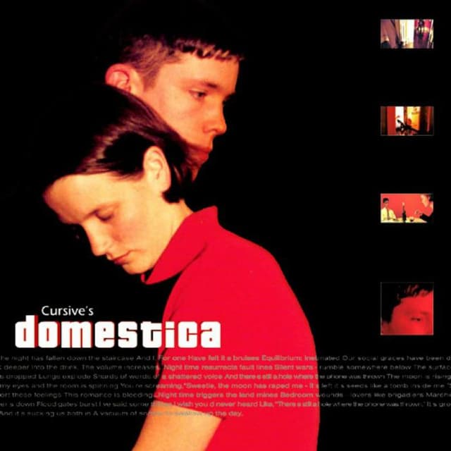 Domestica cover