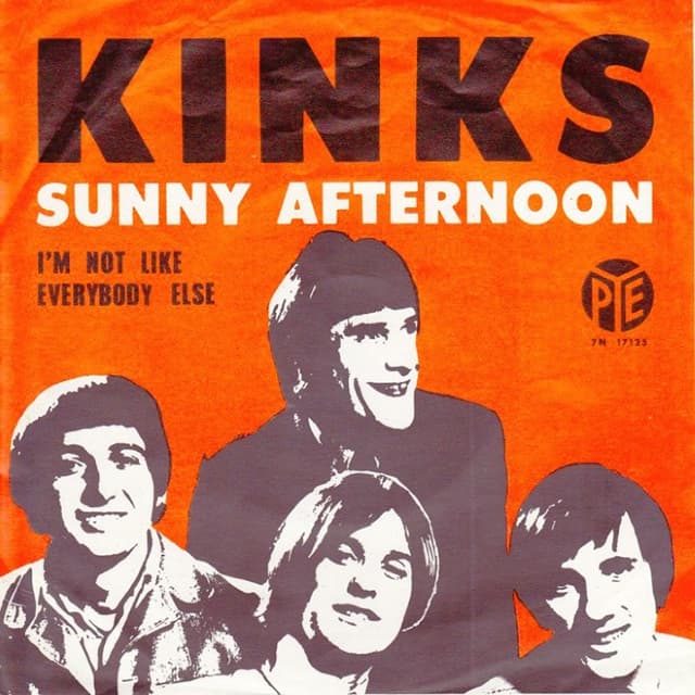 Sunny Afternoon cover