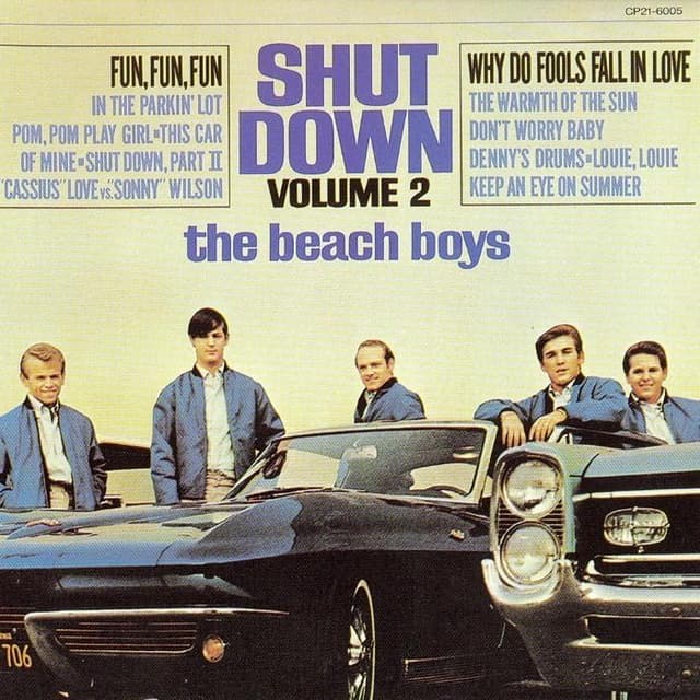 Shut Down, Volume 2 album cover