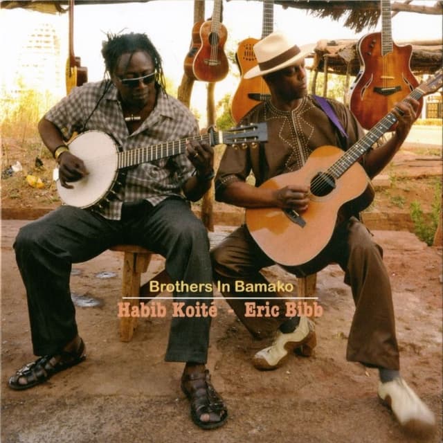 Brothers in Bamako cover
